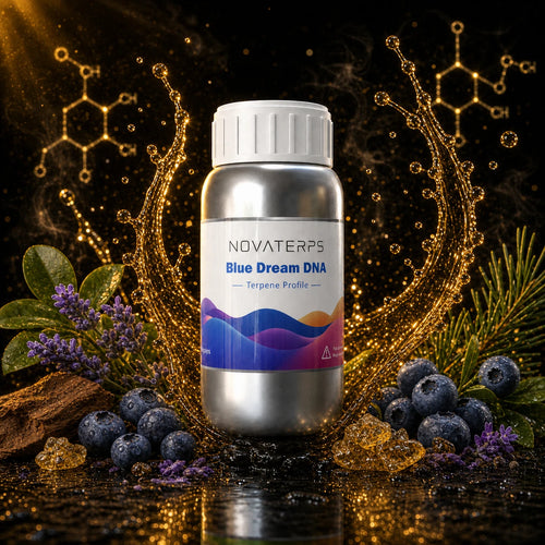 dna_03_blue_dream_dna
