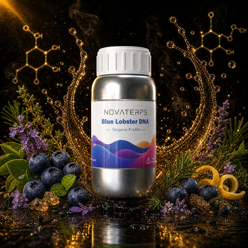 dna_04_blue_lobster_dna