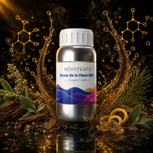 dna_05_chem_de_la_chem_dna