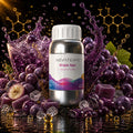 flavor_017_grape_ape