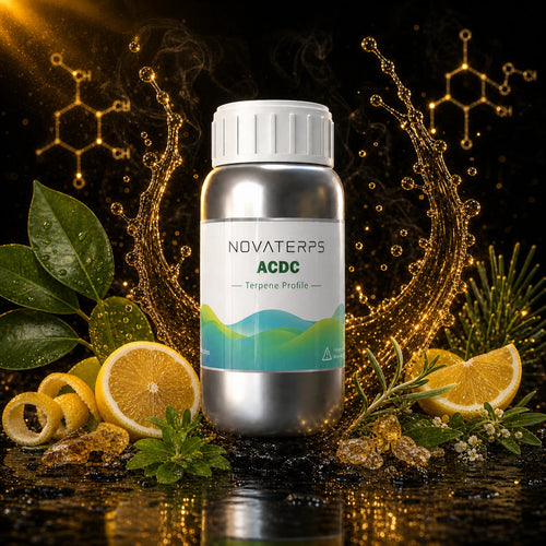 hybrid_25_acdc